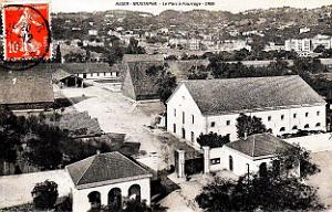 Alger - Mustapha - Parc a Fourrage - 1906